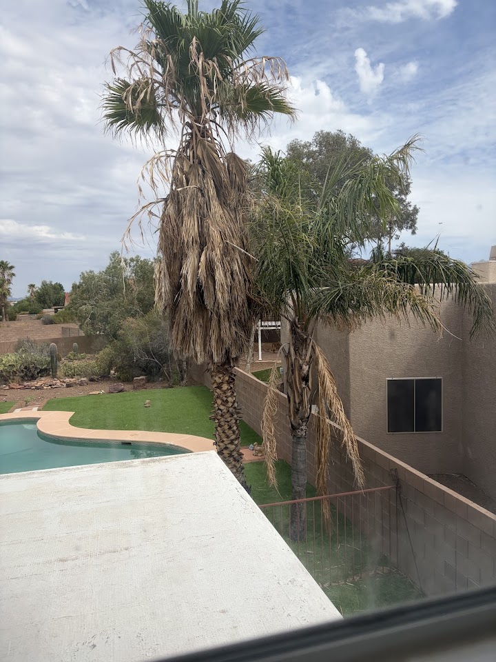 L&J Landscaping Services Tree & Cactus Removel & More LLC project