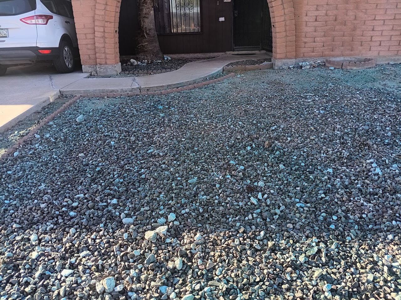 L&J Landscaping Services Tree & Cactus Removel & More LLC project