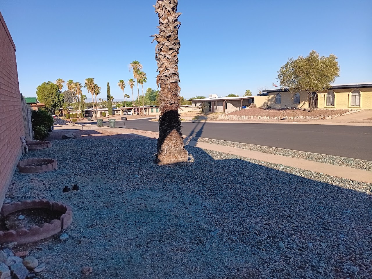 L&J Landscaping Services Tree & Cactus Removel & More LLC project